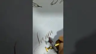 New video! #calligraphy  #copperplatecalligraphy  #coliro #finetec #calligraphyink #mintrosedesigns