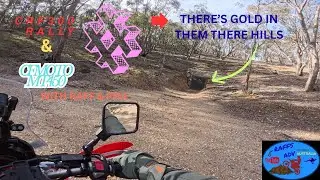 Looking for Gold with Raff and Phil on #crf300rally #cfmoto450mt
