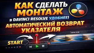 Автоматический возврат указателя DaVinci Resolve