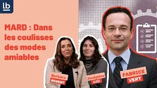 [MARD : Dans les coulisses des modes amiables #1] Avec Fabrice Vert, Ambassadeur de l'amiable