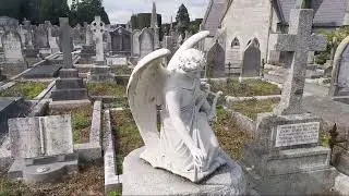 Deansgrange cemetery live walk