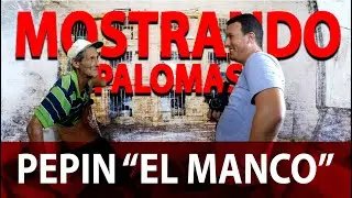 MOSTRANDO PALOMAS de PEPIN 