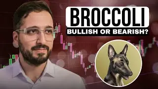 BROCCOLI Coin Price Outlook &ndash; Bullish or Bearish?