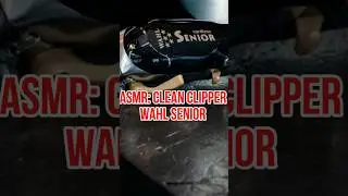 ASMR: CLEAN CLIPPER WAHL SENIOR #wahl #shortvideo #tiktok #youtube #cleaning #diy #dji