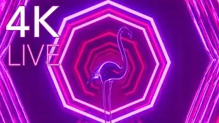 4K Live Wallpaper 2023 | Flamingo in Pink | Valentines Sexy TV Art for Setting the Mood
