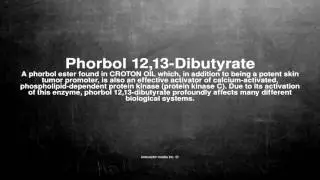 Medical vocabulary: What does Phorbol 12,13-Dibutyrate mean