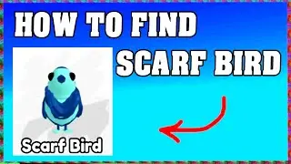 How To Find SCARF BIRD in FIND THE BIRDS ROBLOX 🦜 [walkthrough]