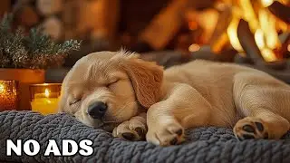🐶12 Hours Of Dog Calming Music ❄️Stress & Anxiety Relief for Dogs 🎵 Soft Winter Night