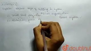 Explain varous steps of budding in hydra. | CLASS 10 | HOW DO ORGANISMS REPRODUCE? | BIOLOGY | D...