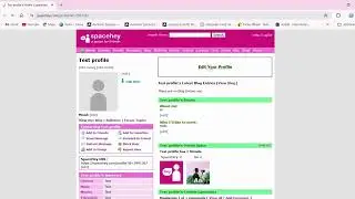 How to add a B&W filter and a moving rainbow filter to your SpaceHey profile!