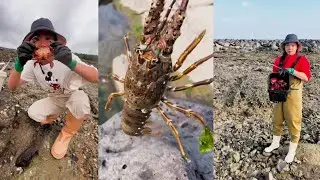 Fishing for lobster and crab🦀 Fish video #catching #fishing #crab #hunting