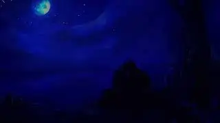 Texte oral - Nos belles nuits