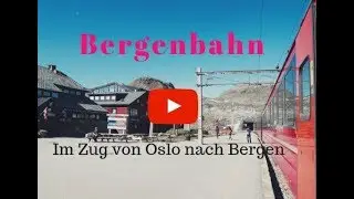 Bergenbahn - Im Zug von Oslo nach Bergen! WOW!