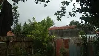 Suasana dibelakang rumah 