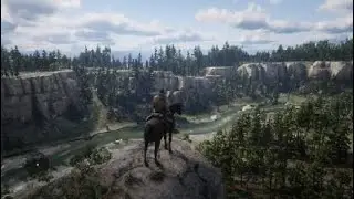 Red Dead Redemption 2_20260114235240