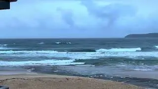 02.08.2025 Sydney Surf Report North Curl Curl Beach Australia