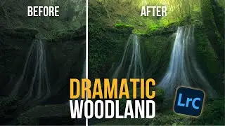How I Edit DRAMATIC Woodland Photos in Lightroom