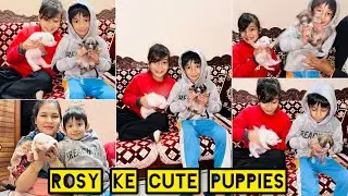 Anshi ne kari dog le jaane ki jid |Rosy ke cute babies 🥰|| Ruchi Rawat Vlogs 