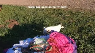 Emergency Landing and Got Peed on by a Dog