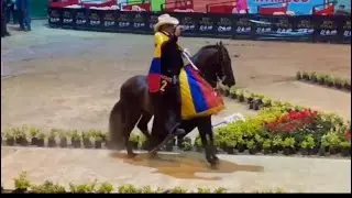 Trote y galope colombiano 🇨🇴 #caballofino #parati #colombia #caballocriollocolombiano #trotes