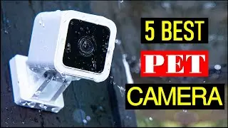 Top 5 Best Pet Camera 2023 | Best Smart Pet Cameras (Buyer's Guide)