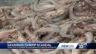 Savannah&rsquo;s shrimp scandal: Test shows most local restaurants serve imported seafood