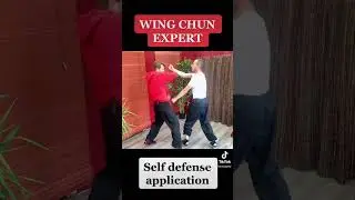 Wing Chun Training : kung fu fighting technique for beginners How to basic !