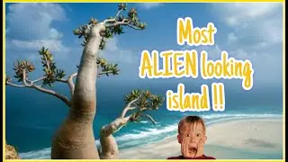 Most Alien Looking Place on Earth