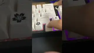 Maxkey sa keycap issue is pain