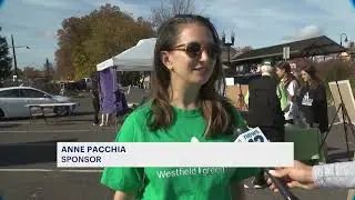 Green Energy Fair in Westfield encourages people to go electric