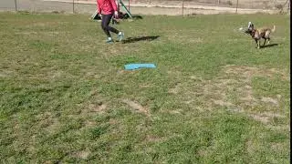 VID 20200425 154542