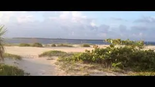 Estuary by Jim Chaps (Beautiful shores of Maine and Boca Grande, FL)