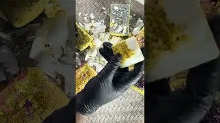 💛💛Yellow Decor Cut to add sunshine to your day 💛💛💛#millionviews 