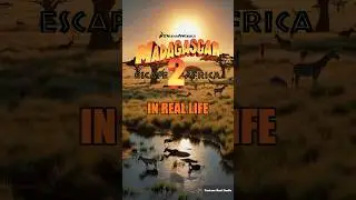 🦁 MADAGASCAR 2 in Real Life! | AI-Generated