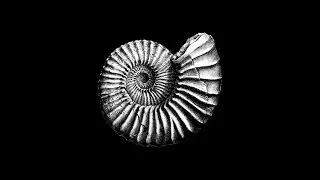 AllttA - Paradise Lost (20syl & @mrjmedeiros )