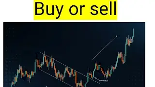Singularity Future Technology, sgly stock analysis buy or sell