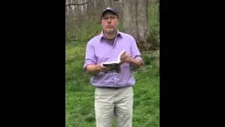 #MySHX400