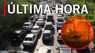🚨 &Uacute;LTIMA HORA: &iquest;ALTOS MANDOS de IR&Aacute;N ESTAN ESCAPANDO? | INCENDIOS en AUSTRALIA