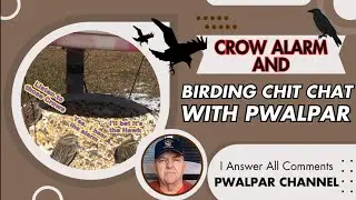 Crow Alarm & Birding Chit Chat with Pwalpar 1 22 2025