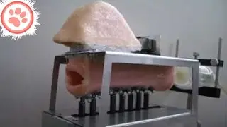 10 Insane Fears People Had About New Technology