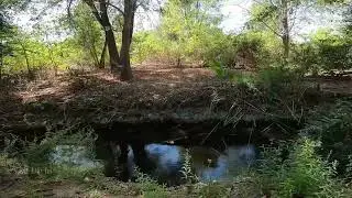 4K Relaxing ASMR Nature Walk Soothing Sounds To  Fall Asleep S1E1