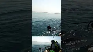 Big fish #fishing #inflatableboatfishing #shots #reels
