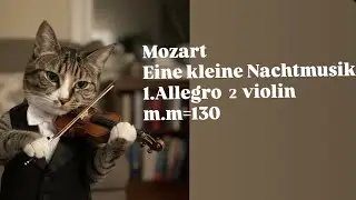 Mozart, Eine kleine Nachtmusik 1.Allegro, 2 violin 모차르트, 아이네 클라이네 나하트 무지크 1악장 2바이올린