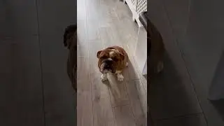 Я могу вам помочь?????