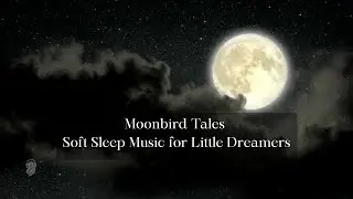 Moonbird Moonlight &ndash; Full Moon Calm & Gentle Night Sounds (20 Minutes)
