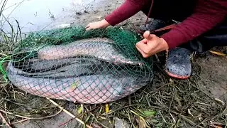 mancing ikan lele babon di sungai liar dapat ikan besar Dan indukan