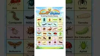 crawling insects names #crawlinginsectsnames #crawlinginsects #crawling #insects