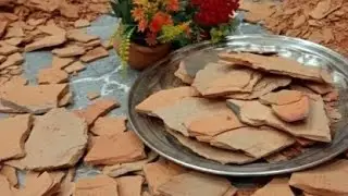 Crunchy Delight: Red Roasted Multani Splitting Video | Best Pakistani Brand Seller