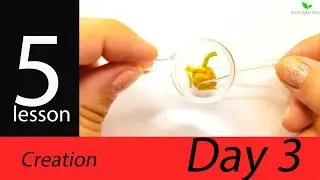 Creation - Day 3 -  Sunday School lessons - Bible crafts