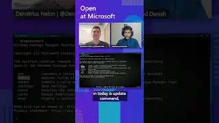 WingetCreate: Keeping WinGet packages up-to-date!